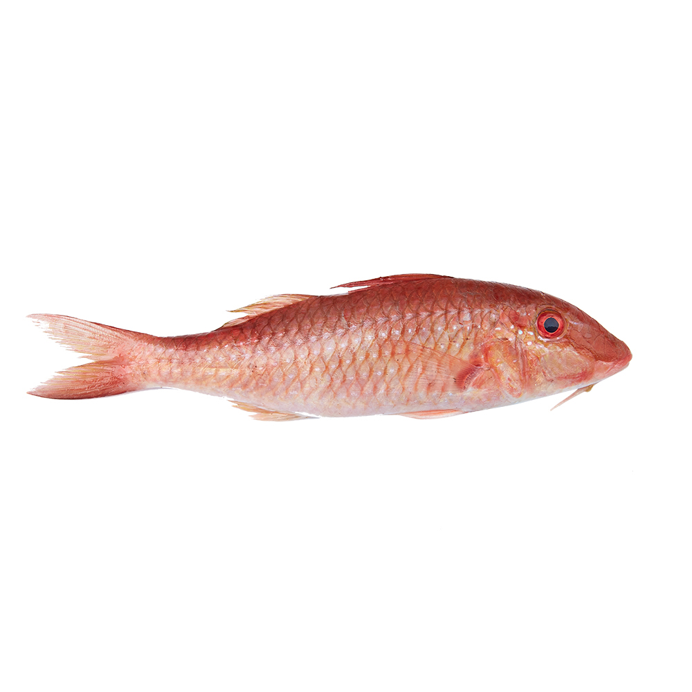 Red Mullet Delmon Fish